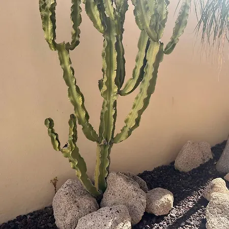 Arcoiris Paradise A 300 Metros De La Playa ,piscina Y Parque Infantil * קיאו סלבאחה