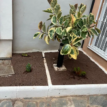 Appartement Arcoiris Paradise A 300 Metros De La Playa ,piscina Y Parque Infantil *