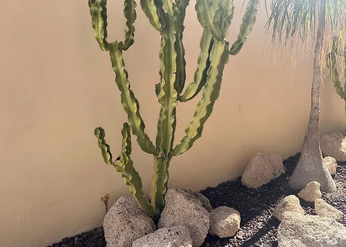 Arcoiris Paradise A 300 Metros De La Playa ,piscina Y Parque Infantil * 칼라오살바헤