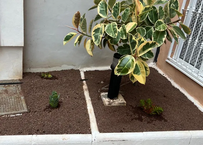 Apartman Arcoiris Paradise A 300 Metros De La Playa ,piscina Y Parque Infantil *